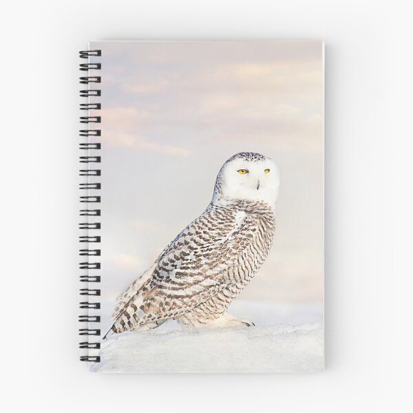 Item preview, Snowy Owl 2 designed and sold by Shauna Kenworthy.