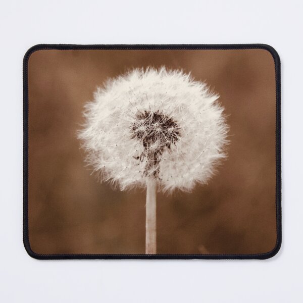 Item preview, Single White Dandelion Poof designed and sold by FeatherfallSTU.