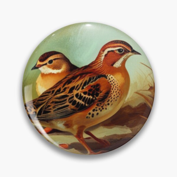 Item preview, Quail Pair digital watercolor art designed and sold by MotherOfMany87.