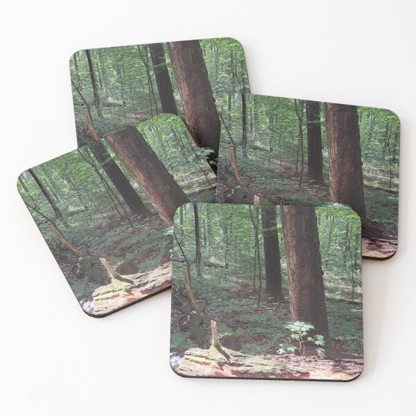 Item preview, Coy Mountain Trail Northern Michigan designed and sold by UPNortheren.
