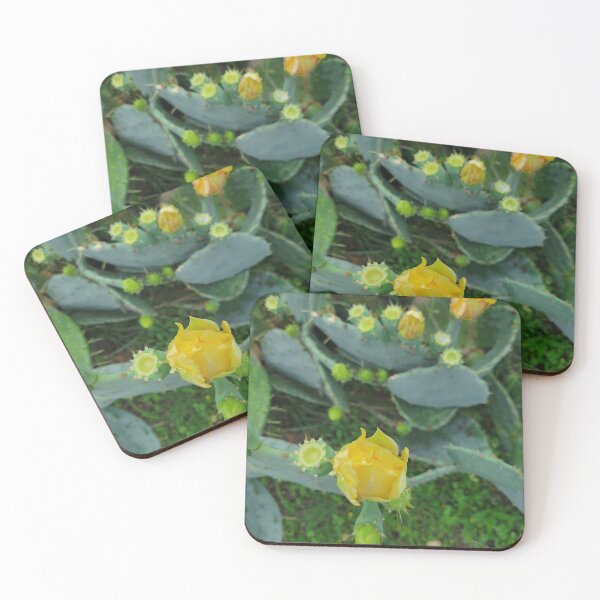 Item preview, Prickly beauty designed and sold by Shoppinmammaj.