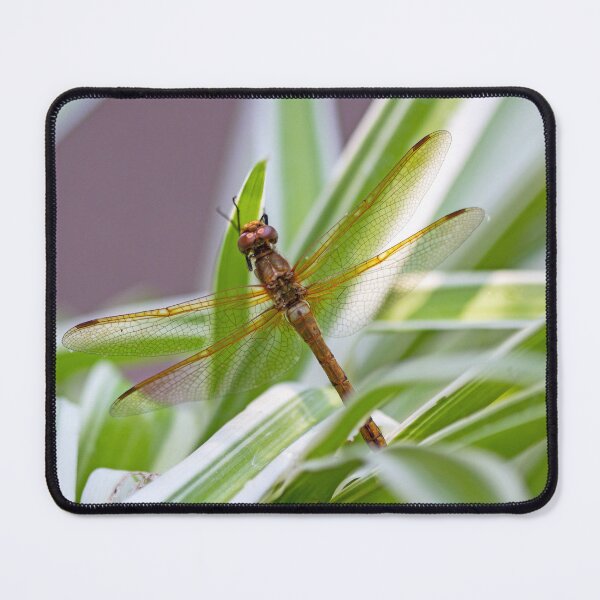 Item preview, Brown Dragonfly designed and sold by Kenziewenze.