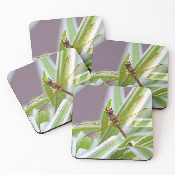 Item preview, Brown Dragonfly designed and sold by Kenziewenze.
