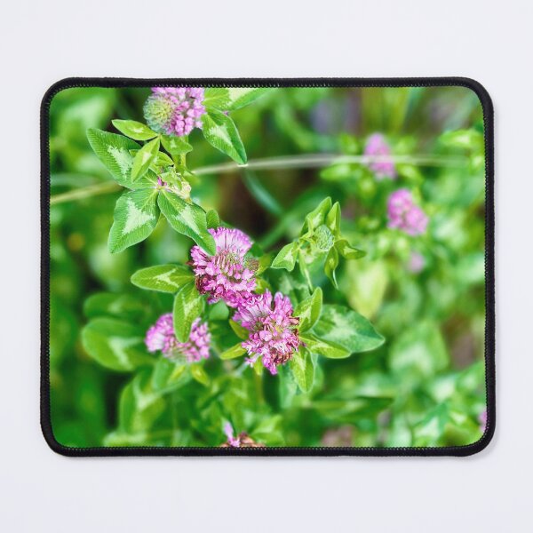 Item preview, Pink Flowers in Ouray, Colorado designed and sold by ColorRoadians.