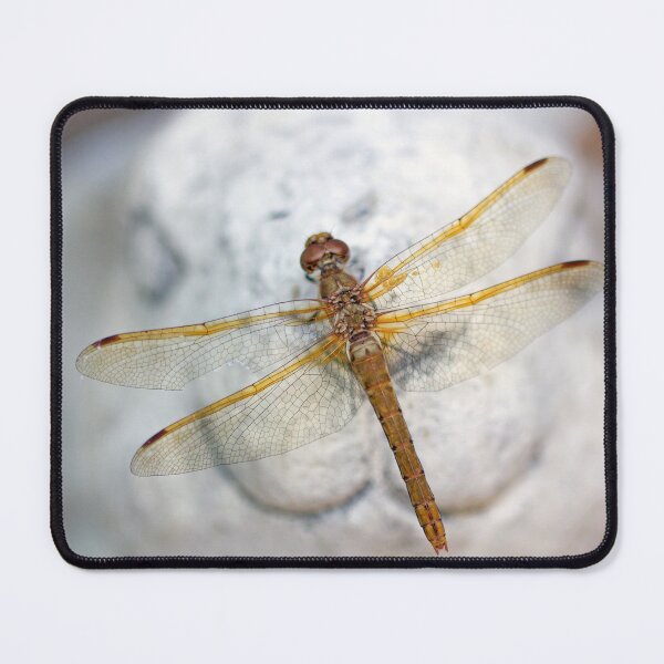 Item preview, Brown Dragonfly on Rabbit Statue designed and sold by Kenziewenze.