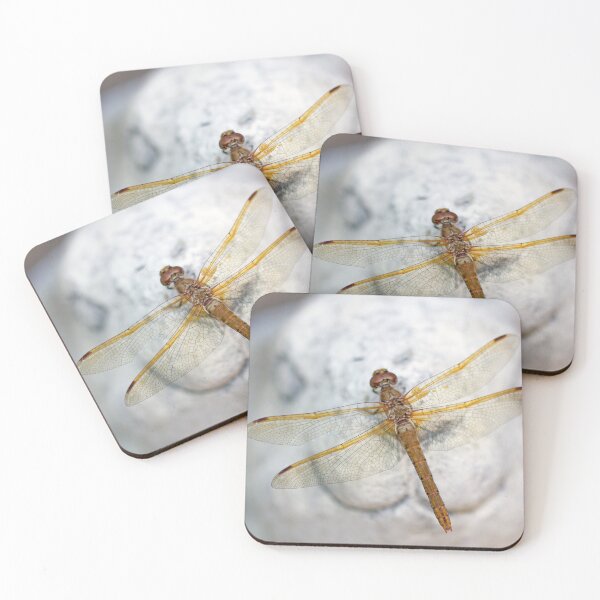 Item preview, Brown Dragonfly on Rabbit Statue designed and sold by Kenziewenze.