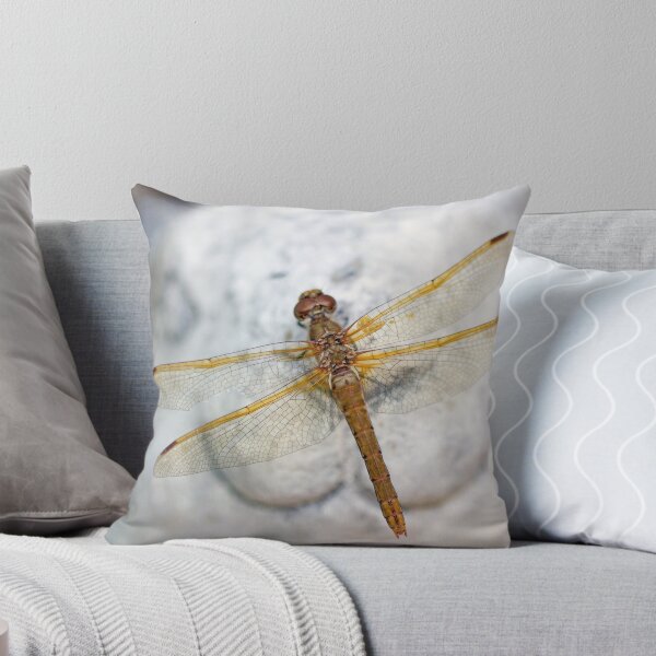 Item preview, Brown Dragonfly on Rabbit Statue designed and sold by Kenziewenze.