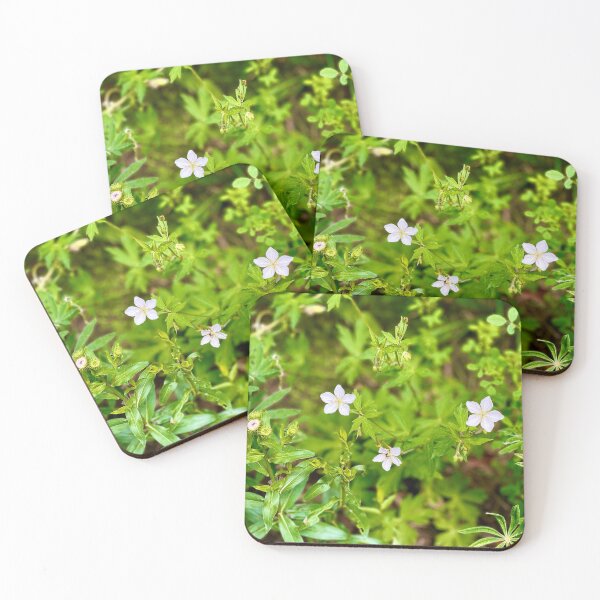 Item preview, White Star Flowers designed and sold by ColorRoadians.