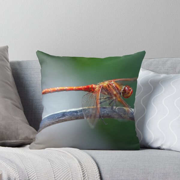 Item preview, Red Dragonfly designed and sold by Kenziewenze.
