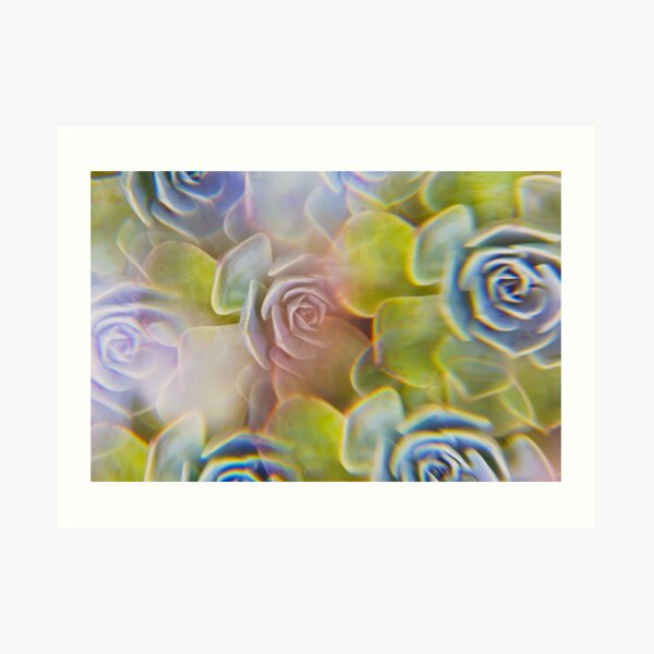 Succulent photographed through prism filter Art Print