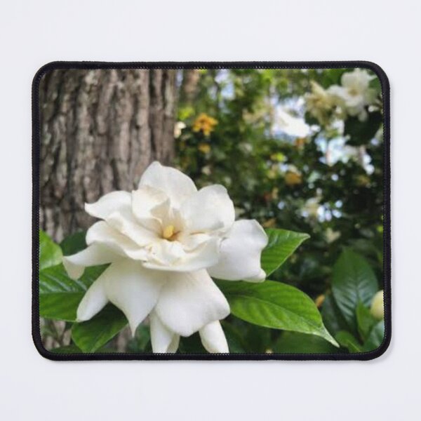 Item preview, Gardenia flower designed and sold by Amralma.