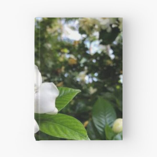 Item preview, Gardenia flower designed and sold by Amralma.