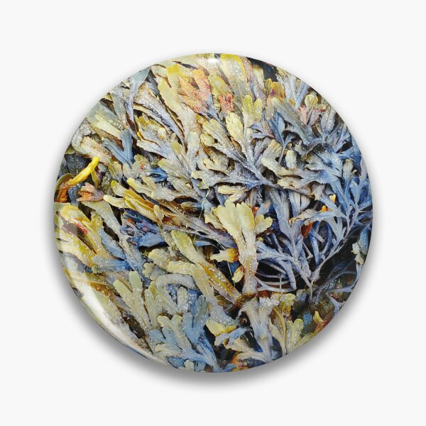 Item preview, Seaweed designed and sold by taylorrowan.