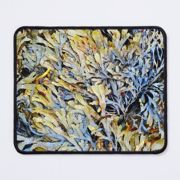 Item preview, Seaweed designed and sold by taylorrowan.
