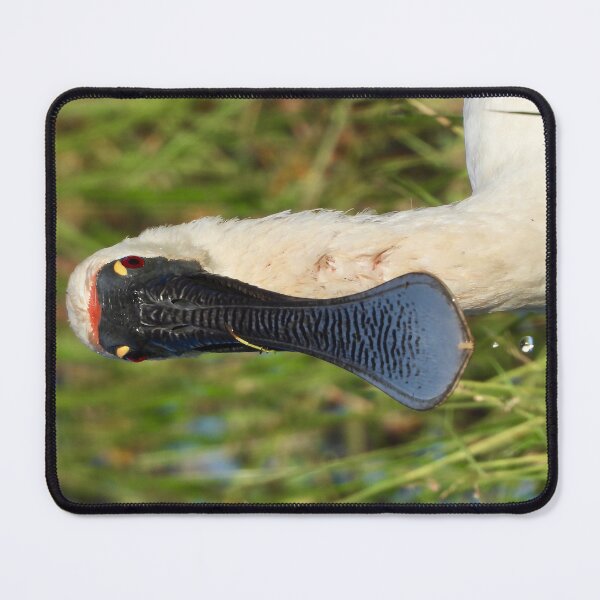 Item preview, Royal Spoonbill face designed and sold by Mark Grimsley.