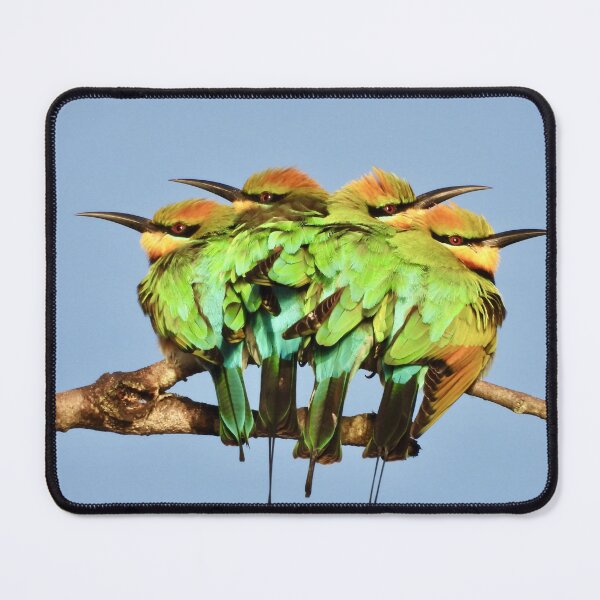 Item preview, Rainbow Bee-eaters trying to say warm designed and sold by Mark Grimsley.