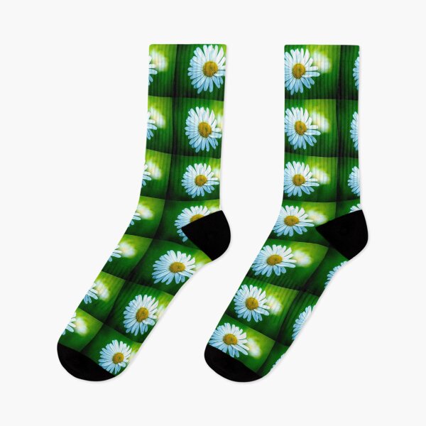 Item preview, Daisy, Daisy, Daisy designed and sold by Mothboybrown.