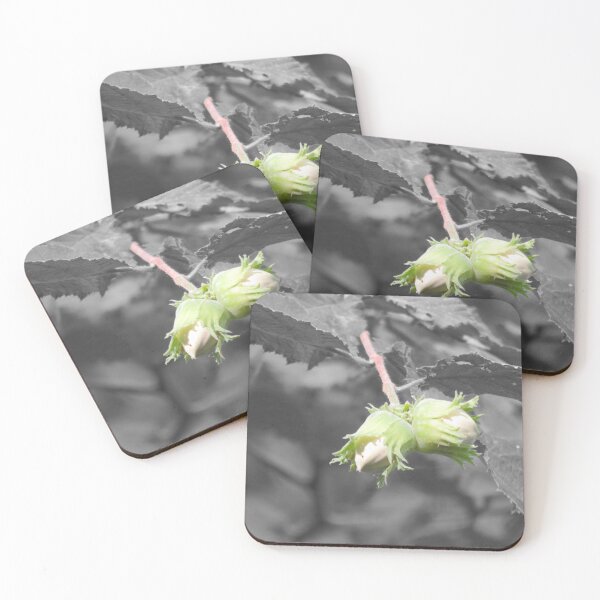 Item preview, Hazelnuts on black and white background designed and sold by AHELENE.
