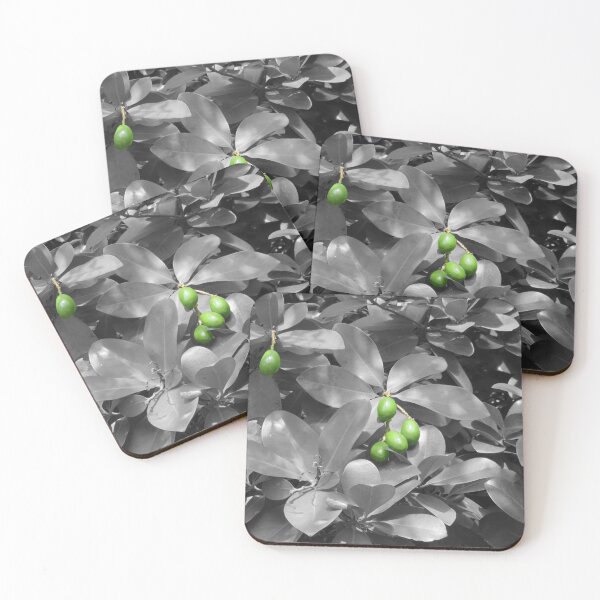 Item preview, Macadamia nuts on black and white background designed and sold by AHELENE.