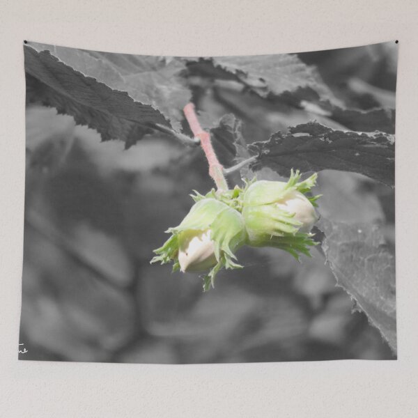 Item preview, Hazelnuts on black and white background designed and sold by AHELENE.