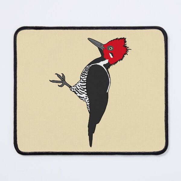 Item preview, Guayaquil Woodpecker designed and sold by taylorrowan.