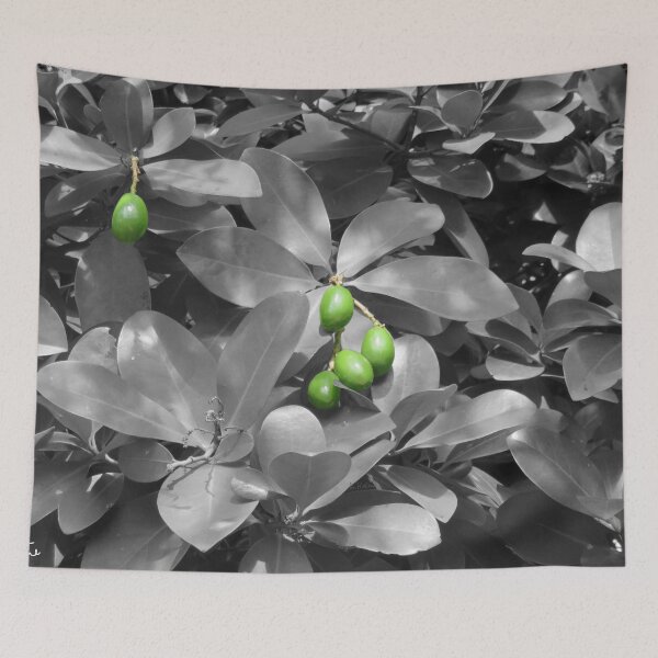 Item preview, Macadamia nuts on black and white background designed and sold by AHELENE.