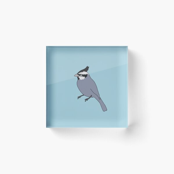 Item preview, Black Crested Finch designed and sold by taylorrowan.