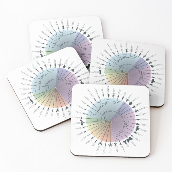 Item preview, Insect Phylogeny designed and sold by Jazpb.