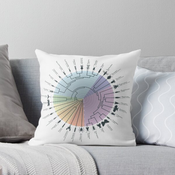 Item preview, Insect Phylogeny designed and sold by Jazpb.