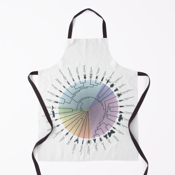 Item preview, Insect Phylogeny designed and sold by Jazpb.