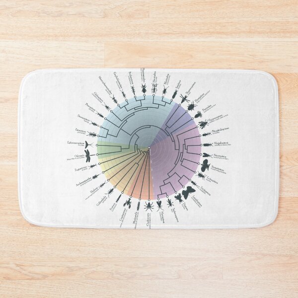 Item preview, Insect Phylogeny designed and sold by Jazpb.
