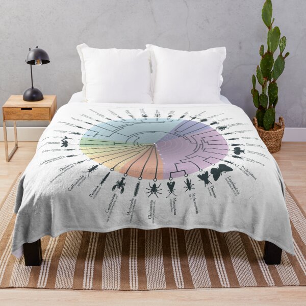 Item preview, Insect Phylogeny designed and sold by Jazpb.
