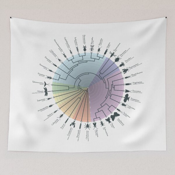 Item preview, Insect Phylogeny designed and sold by Jazpb.