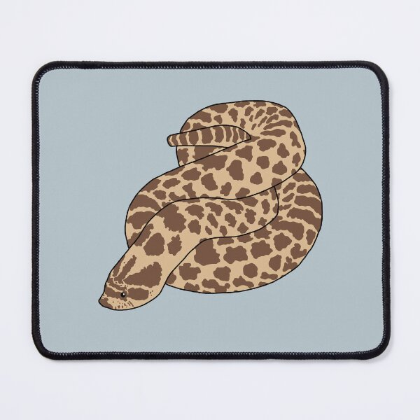 Item preview, Hognose Snake designed and sold by taylorrowan.