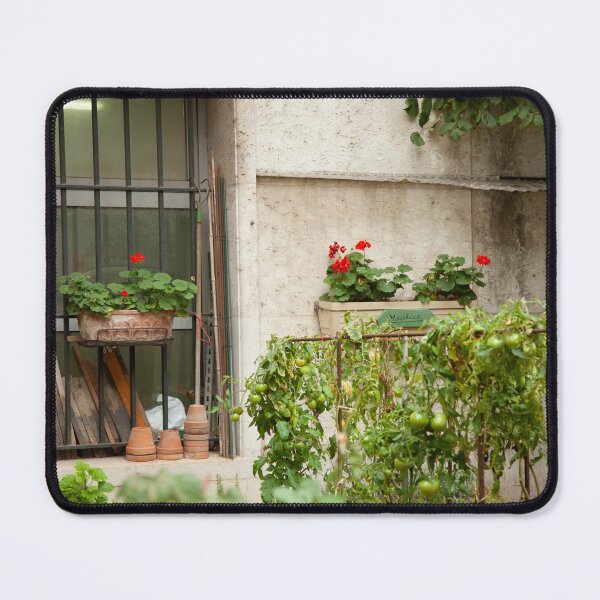 Item preview, Paris Window Garden designed and sold by Tiana  McVay.