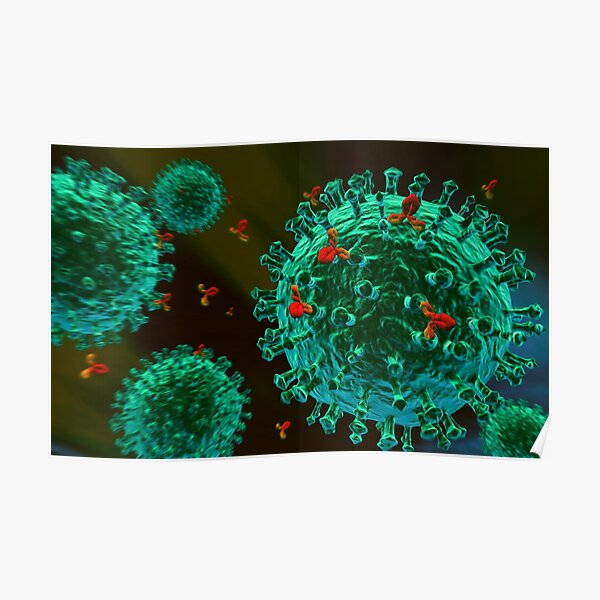 antibodys against green fluorescent protein (GFP) virus Poster