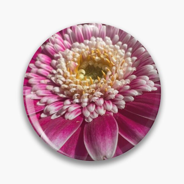 Item preview, Pink Chinese Aster designed and sold by Betsy Phillips.