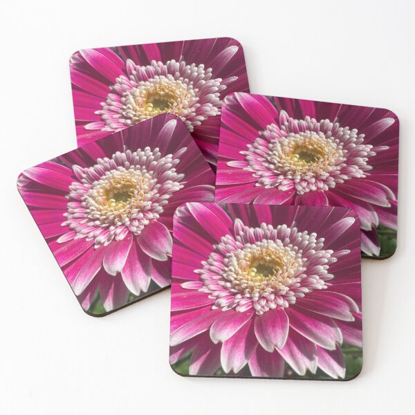 Item preview, Pink Chinese Aster designed and sold by Betsy Phillips.