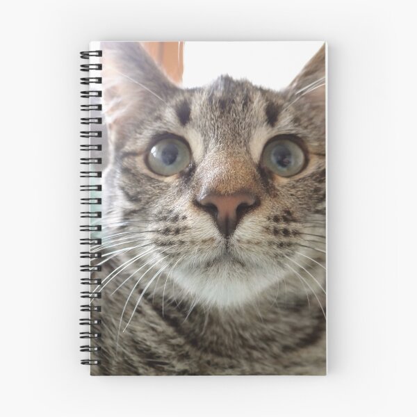 Item preview, Cat looking up designed and sold by exploramum.