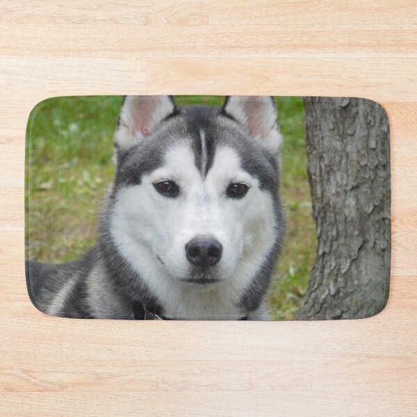 Artikelvorschau, Husky Hund entworfen und verkauft von priesterjen.