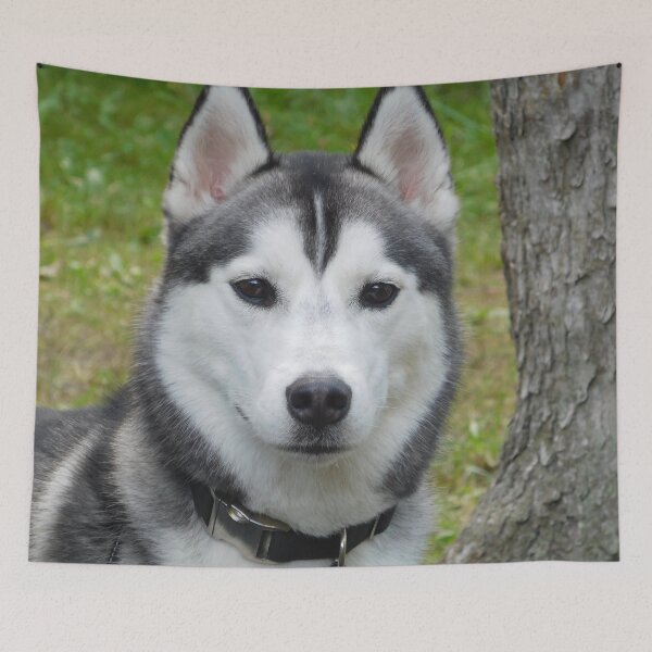 Artikelvorschau, Husky Hund entworfen und verkauft von priesterjen.