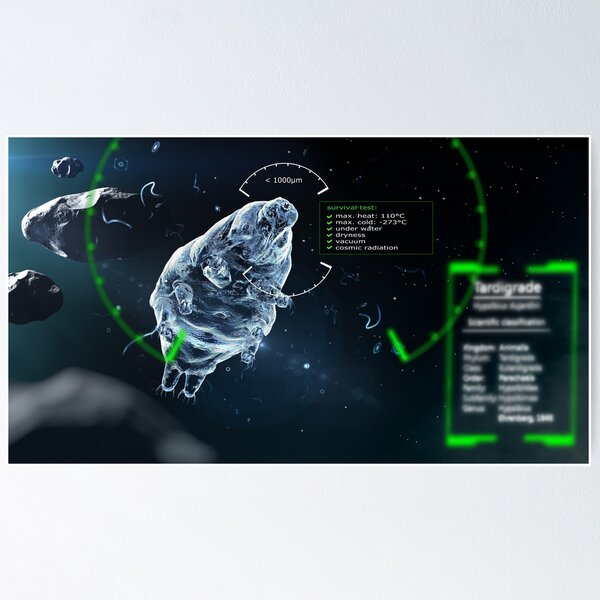 little Tardigrade -  big survivalist Poster