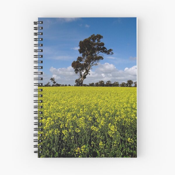 Item preview, Blue sky over Australian crops designed and sold by exploramum.