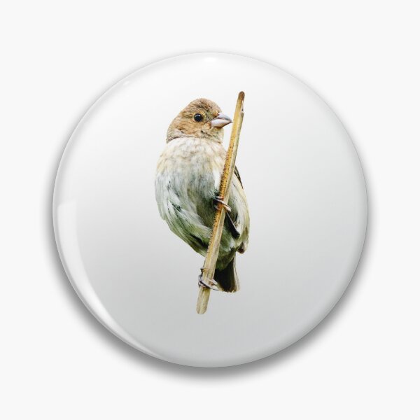 Item preview, Avian | Perched Beauty designed and sold by EyeArt Studio.