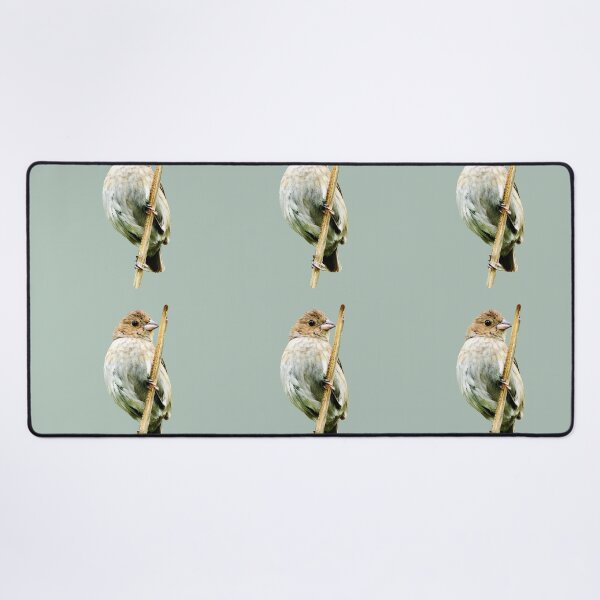 Item preview, Avian | Perched Beauty designed and sold by EyeArt Studio.