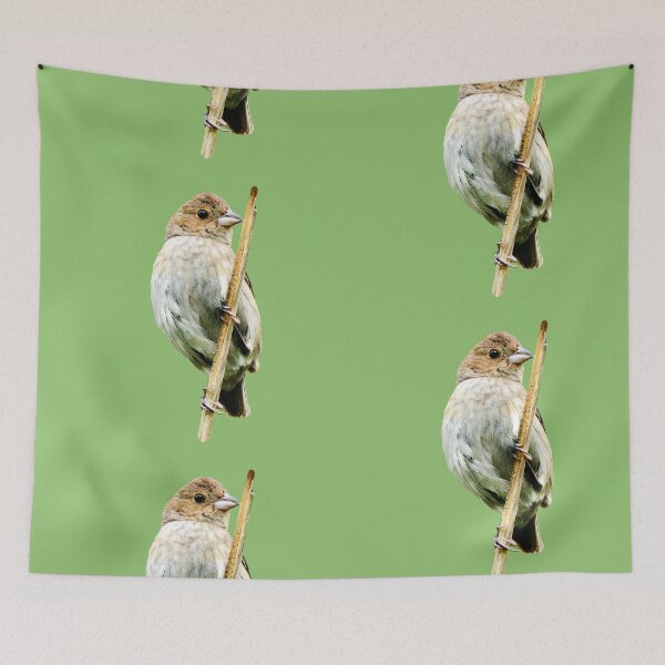 Item preview, Avian | Perched Beauty designed and sold by EyeArt Studio.