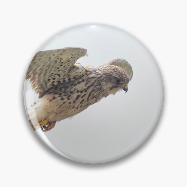 Item preview, Kestrel flying high designed and sold by kathleenjean.