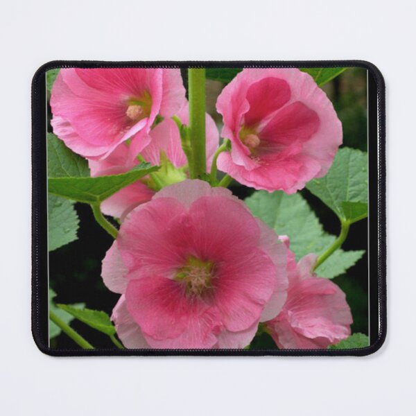Item preview, Three red flowers designed and sold by Julien Hebbrecht.