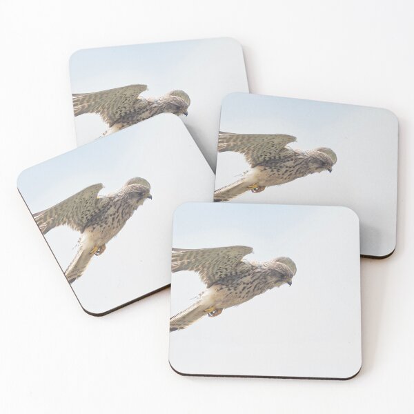 Item preview, Kestrel flying high designed and sold by kathleenjean.