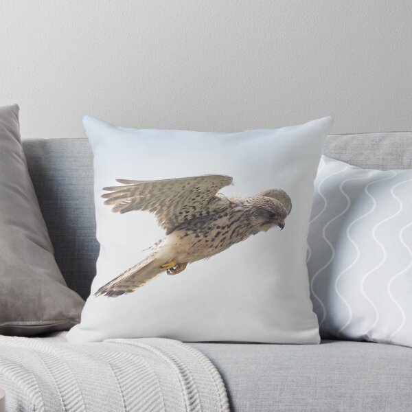 Item preview, Kestrel flying high designed and sold by kathleenjean.